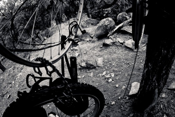 Photo 22 by Jay Goodrich Photographer Inc. for Summer