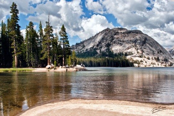 Tenya Lake
Yosemite
101