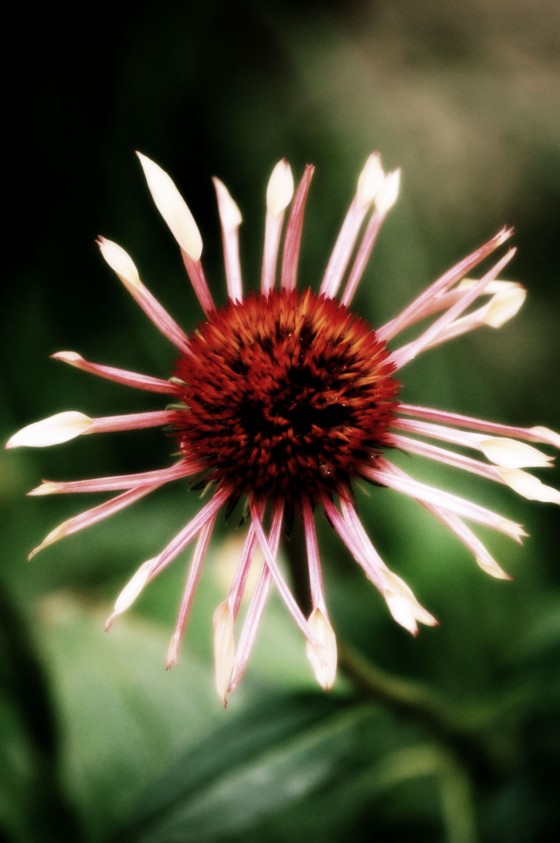 Photo 20 by Dream Lenz Photography for Mother nature