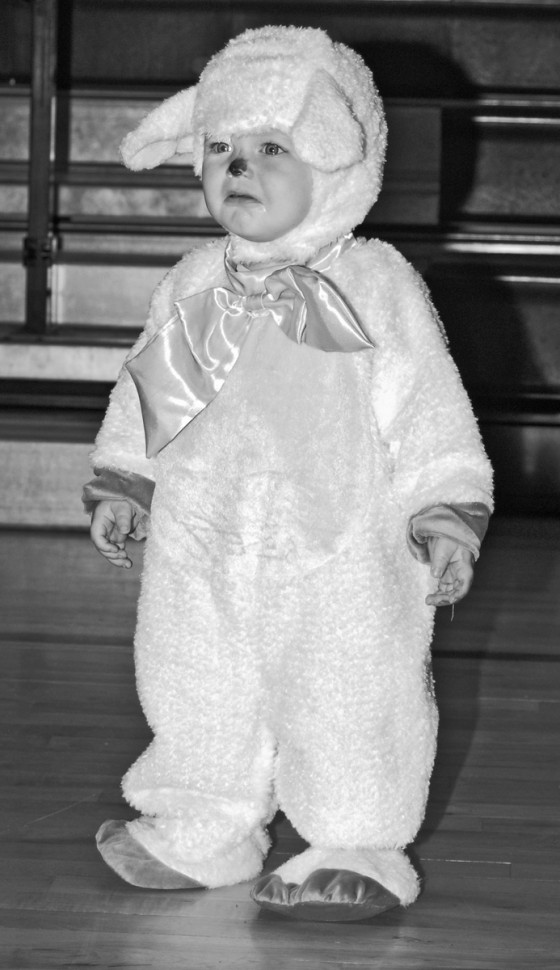 Photo 249 by Roy Caratozzolo for People Photography
