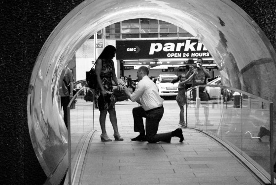 Photo 293 by Roy Caratozzolo for Event Photography