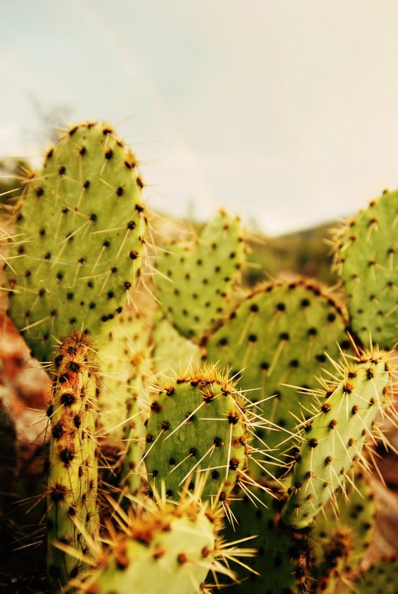 Photo 3 by Dream Lenz Photography for Mother nature