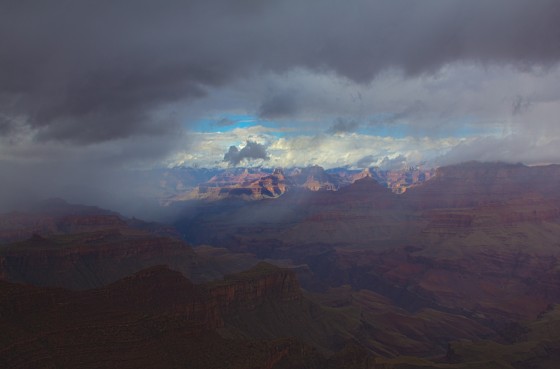 Photo 8 by Roger Timm for Nature Photography