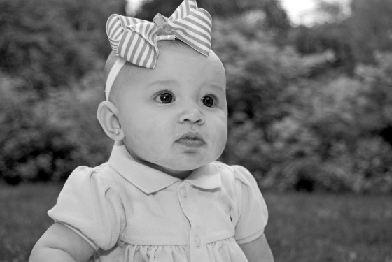 Photo 226 by Roy Caratozzolo for General Photography