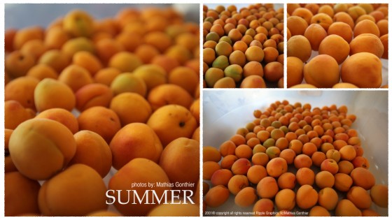 Photo 3 by Mathias Gonthier for Food Photography