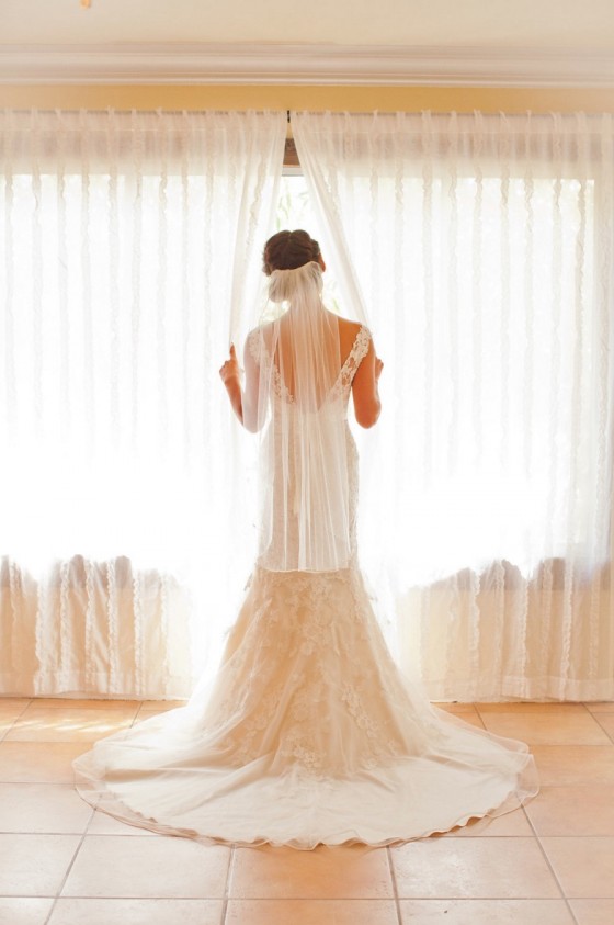 Looking out the Window
