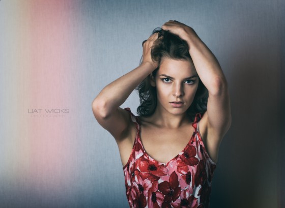 Model test shot