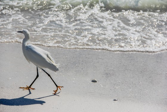 This guy's in a hurry.