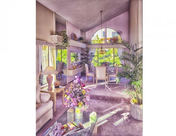 Levitts Homes