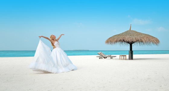Photo 8 by Ahmed Shuau for Wedding Photography