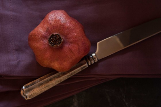 Photo 0 by Ciara Studio LLC for Pomegranate