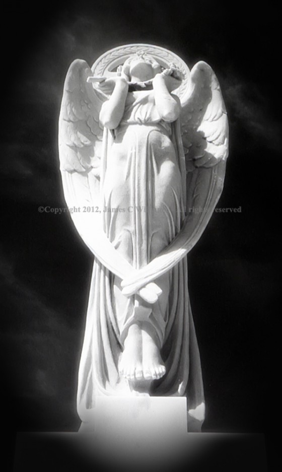 Angel of Unity
San Juan, Puerto Rico
Infrared Film, 2011
