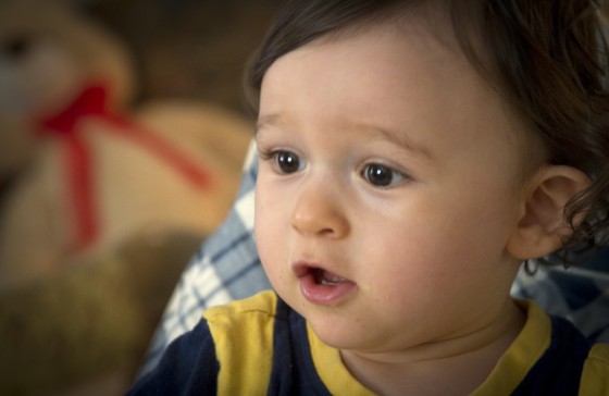 Photo 0 by David Maxwell Cole for Portrait Samples