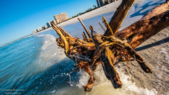 Marco Island, Florida