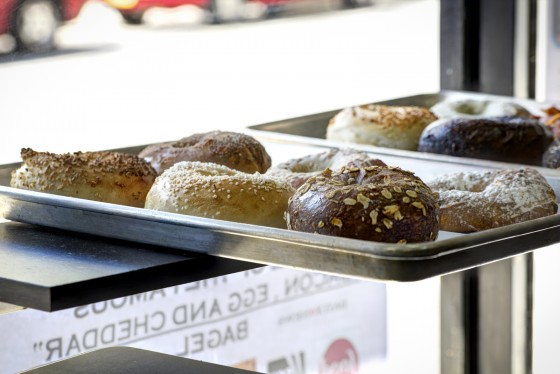 The Bagel Store - Brooklyn, NY