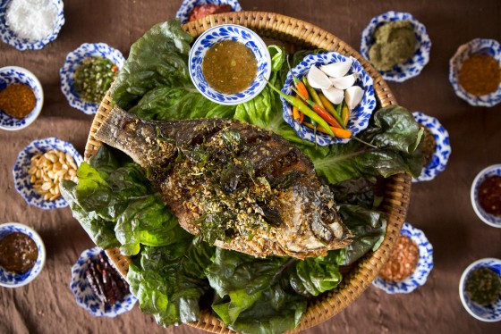 Photo 8 by Cibo Buono Photography for Food