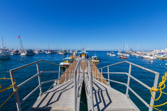 Catalina Island