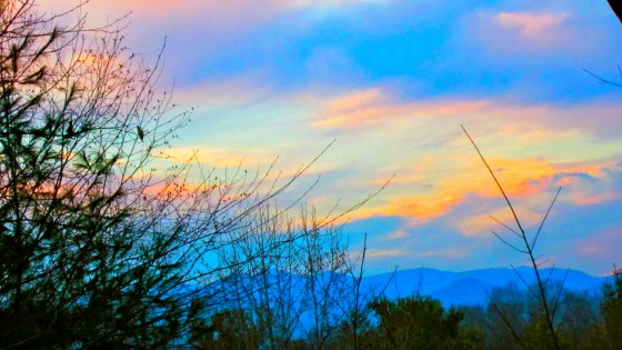 Photo 8 by Amy Jackson Karmalized Pictures for Interests