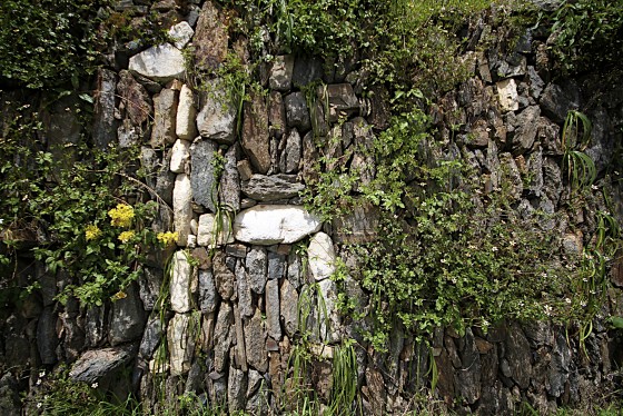 Photo 7 by Zak Bennett for Choquequirao for The Wall Street Journal