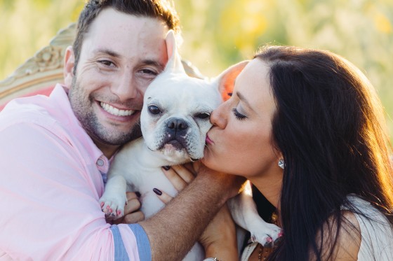 Engagements with Dog