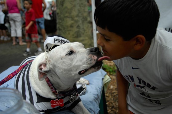 Photo 60 by Roy Caratozzolo for Photo Journalism