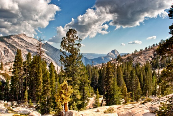 Half Dome in the
Background
Yosemiet
