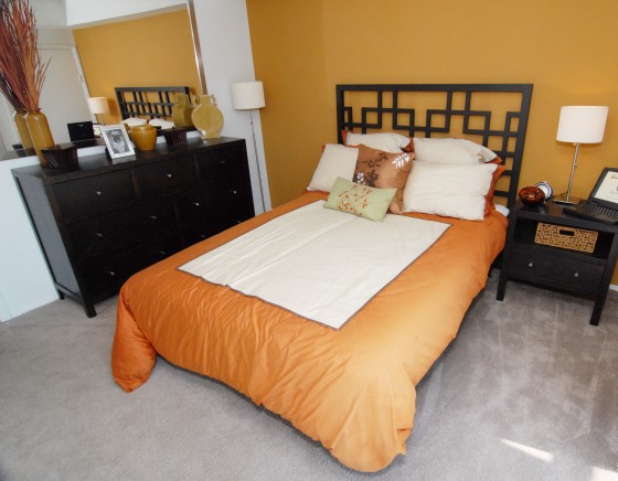 Photo 14 by Craig Irvine for Real Estate Photography