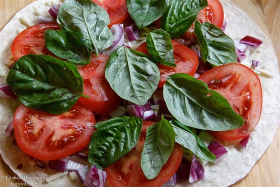 Fresh tomato basil on a tortilla shell.
