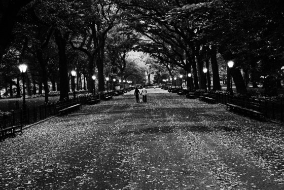 Photo 403 by Roy Caratozzolo for General Photography