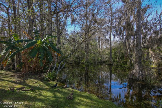 Clyde Butcher's place in the Big Cypress Preserve