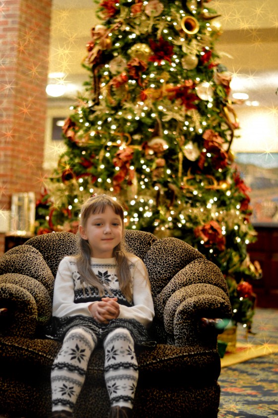 Family Christmas Shoot