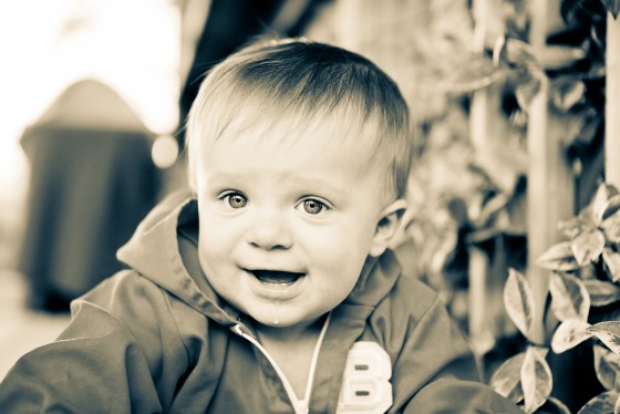 Photo 1 by Mally Hartenstein- Mally Photography for General Photography