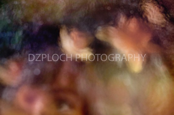 Photo 11 by Kyleen DzPloch for Fine Art Portfolio
