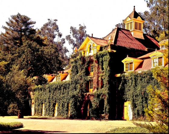 Inglenook Winery
Napa