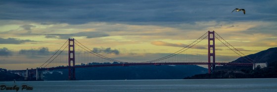 Travel Panoramics