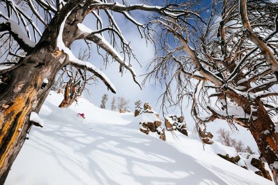 Photo 22 by Jay Goodrich Photographer Inc. for Winter