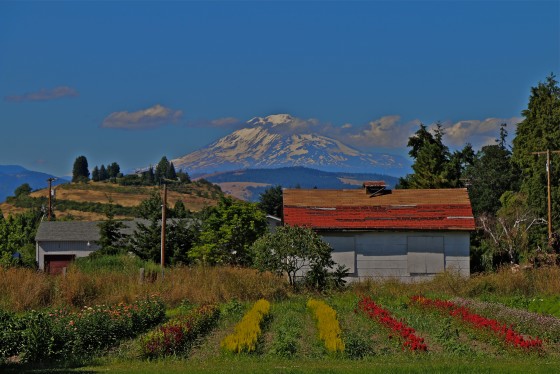 The Fruit Loop, Hood River, Oregon