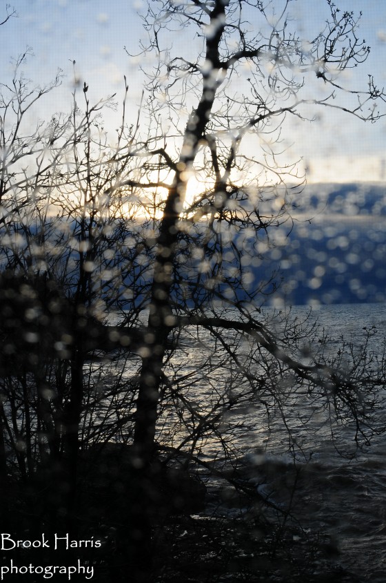 Photo 11 by Brook Harris for Landscape Photography