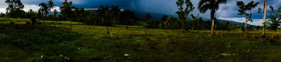 Haitian Plains
