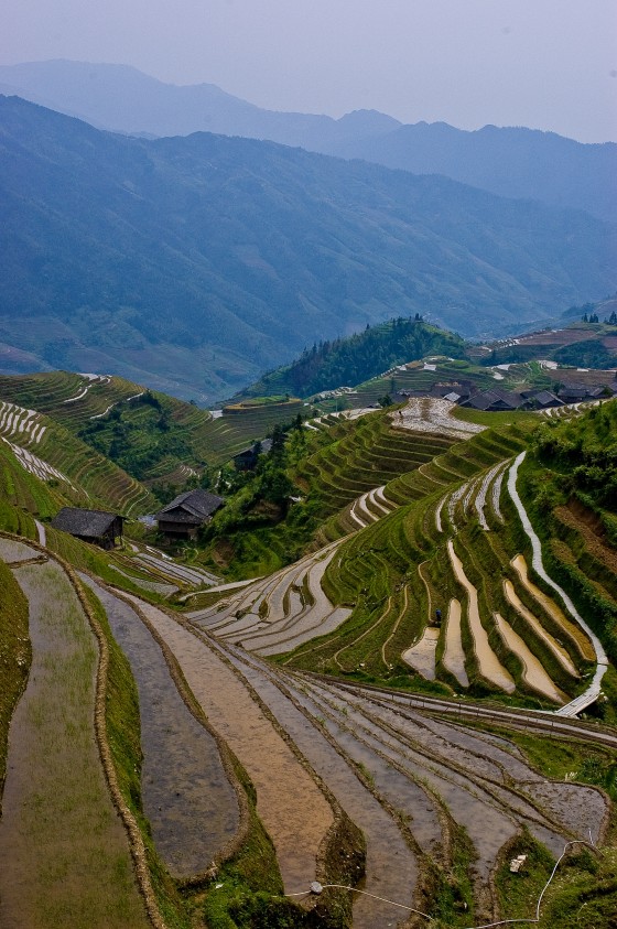 Travel