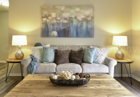 Living Rooms