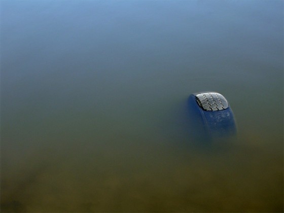Photo 21 by Roy Caratozzolo for Photo Journalism