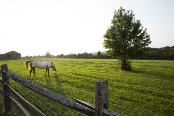 Photo 39 by Jess Blackwell for Exteriors
