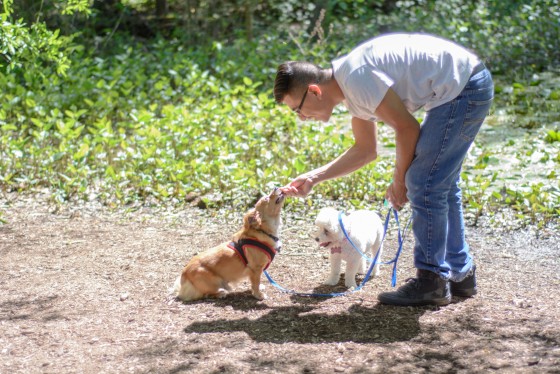 Photo 18 by for Pets and their Owners