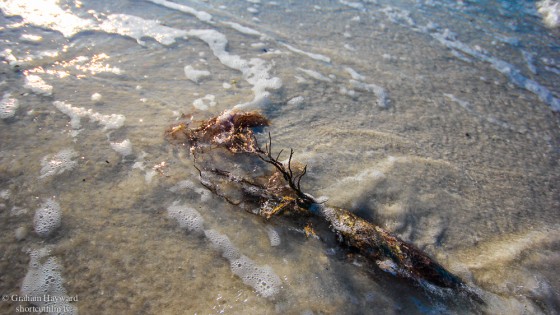Photo 49 by Graham Hayward for General Photography