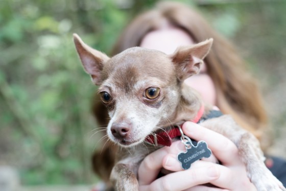 Photo 8 by for Pets and their Owners