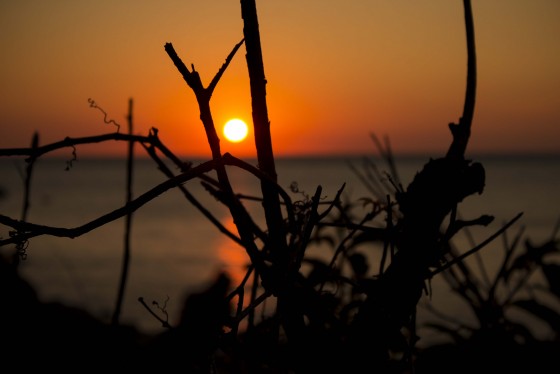 Photo 1 by Caslin for Landscape