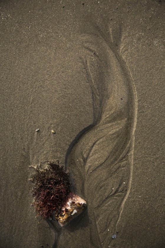 Photo 61 by Dan Minicucci for Personal Work