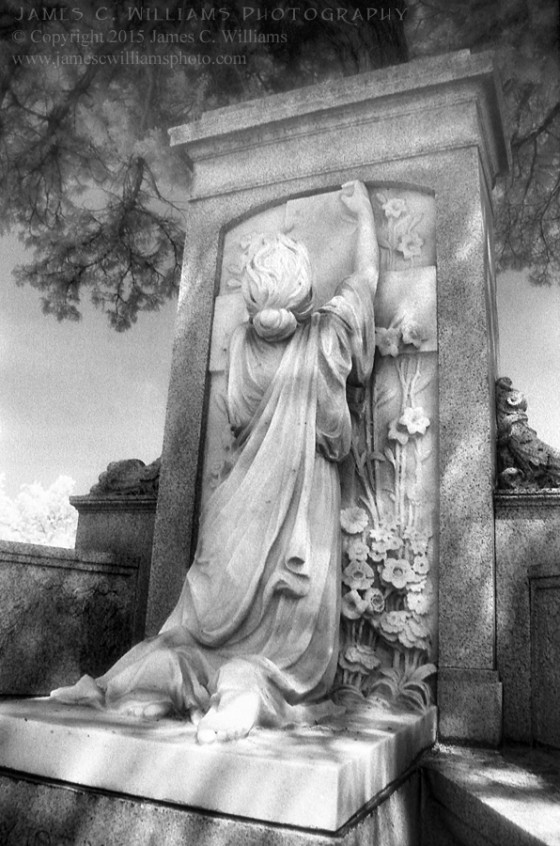 Crying To Heaven
Maplewood Cemetery, Wilmington, NC
Digital B&W, 2015