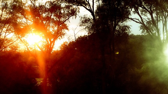 Morning Sunrise